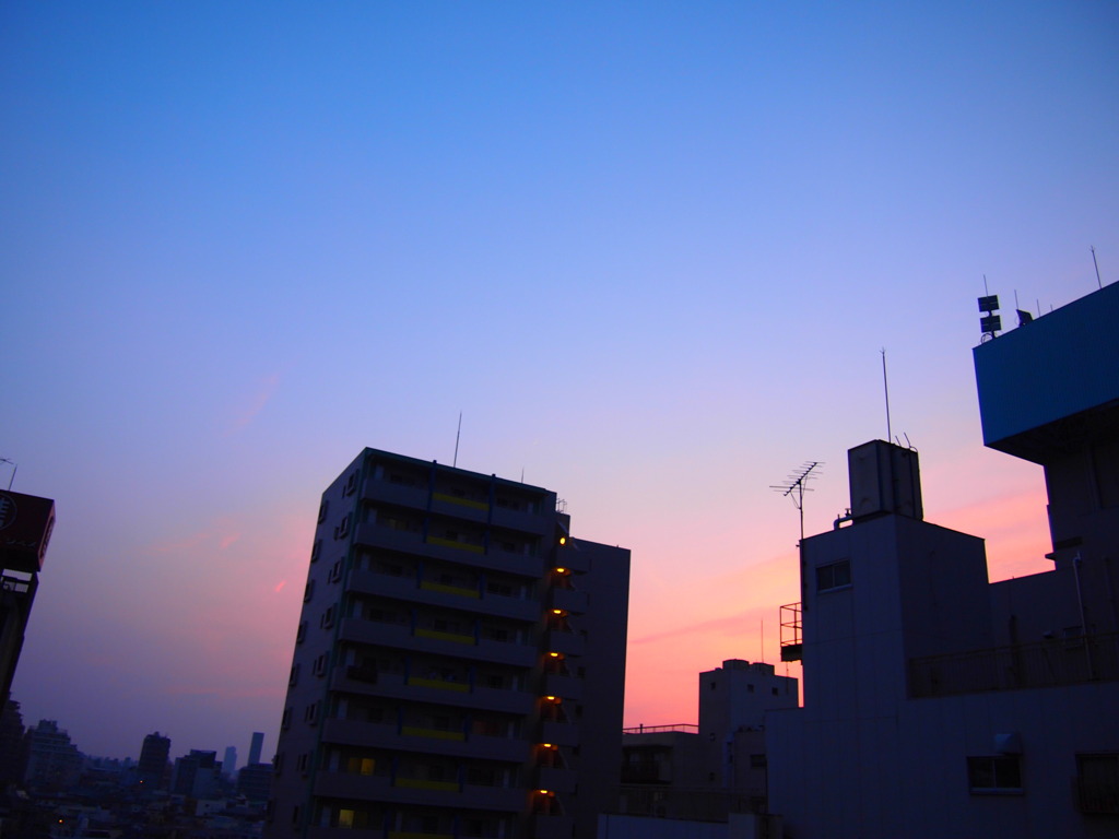 家から