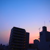 家から
