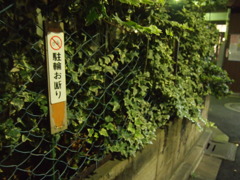 夜って