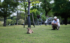 Nara Park-14