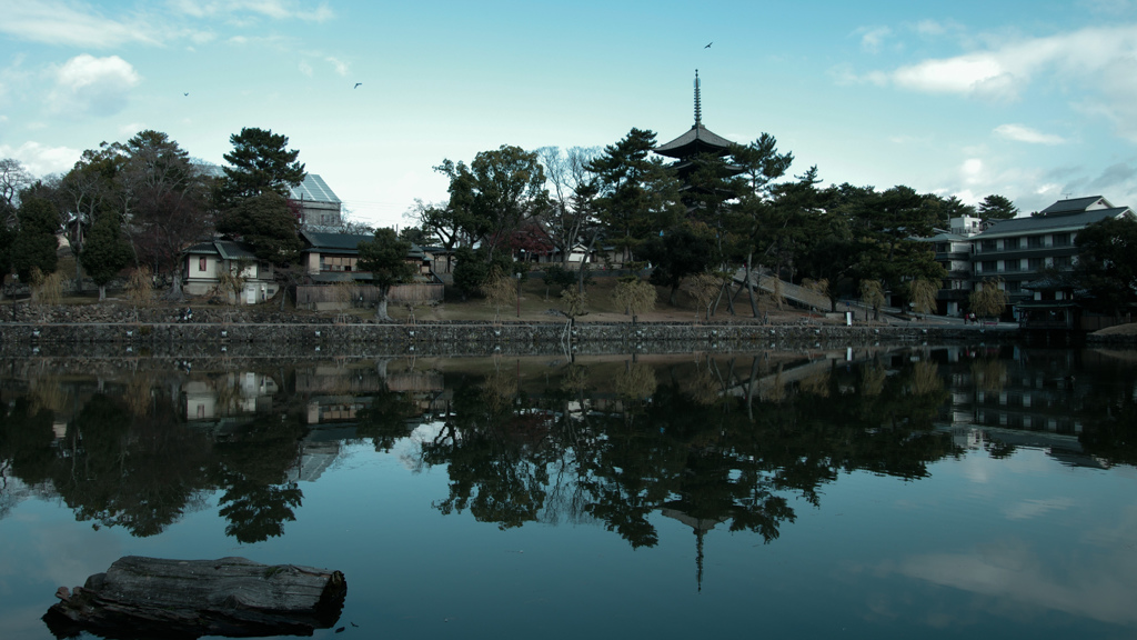 Nara Park-10