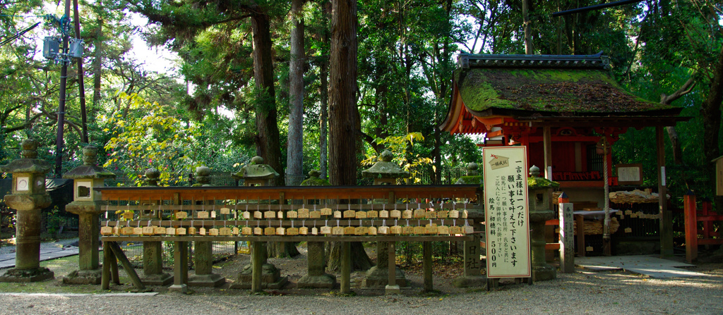 Nara Park-5