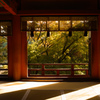 談山神社／Tanzan Shrine-1