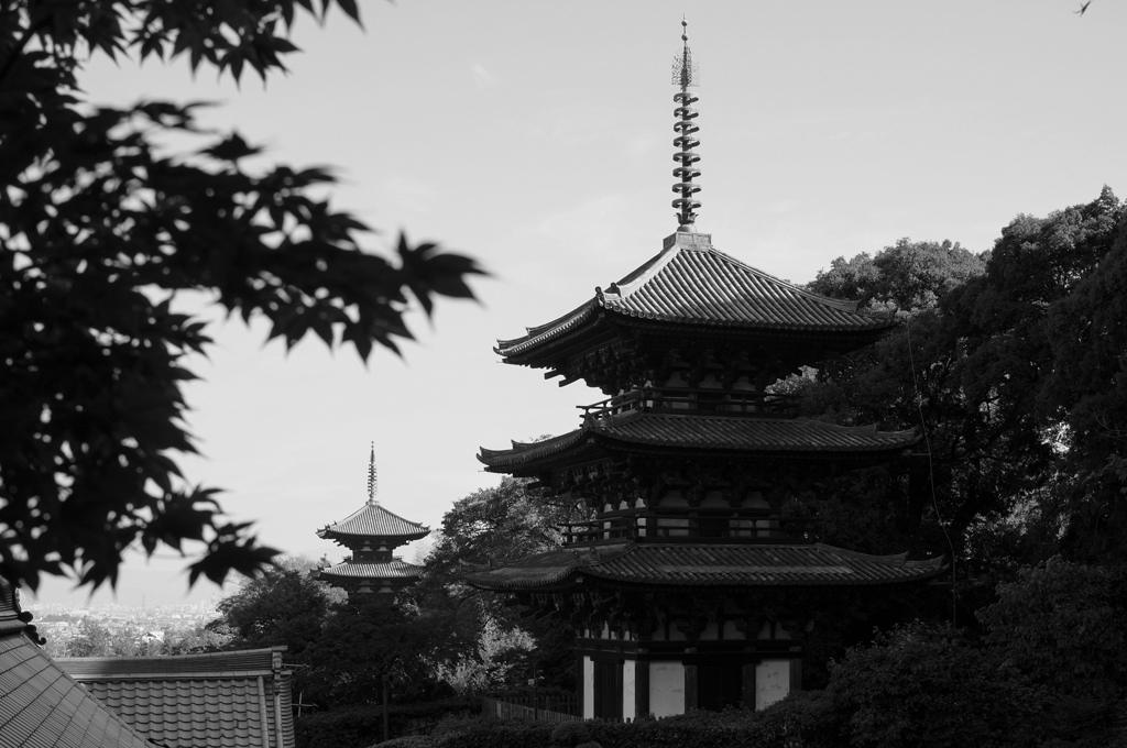 当麻寺-12