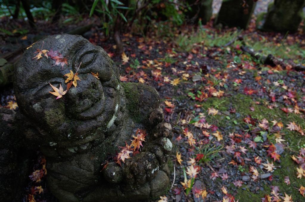 kyoto-aki-20