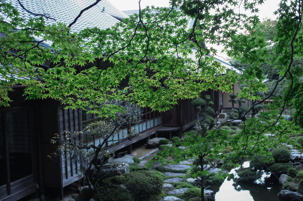 当麻寺-14