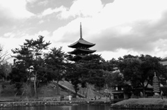 Nara-Park-2