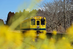 いすみ鉄道-2