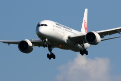 ひこうきの丘ーJAPAN AIR