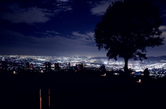 若草山の夜景2
