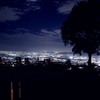 若草山の夜景2