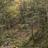 10　山肌