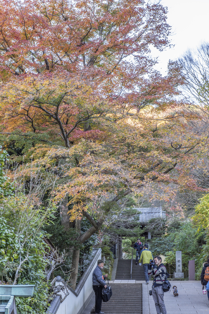12　円覚寺