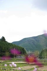 風景