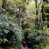 円覚寺4