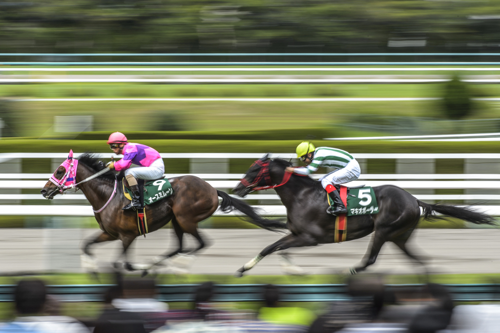 阪神競馬場