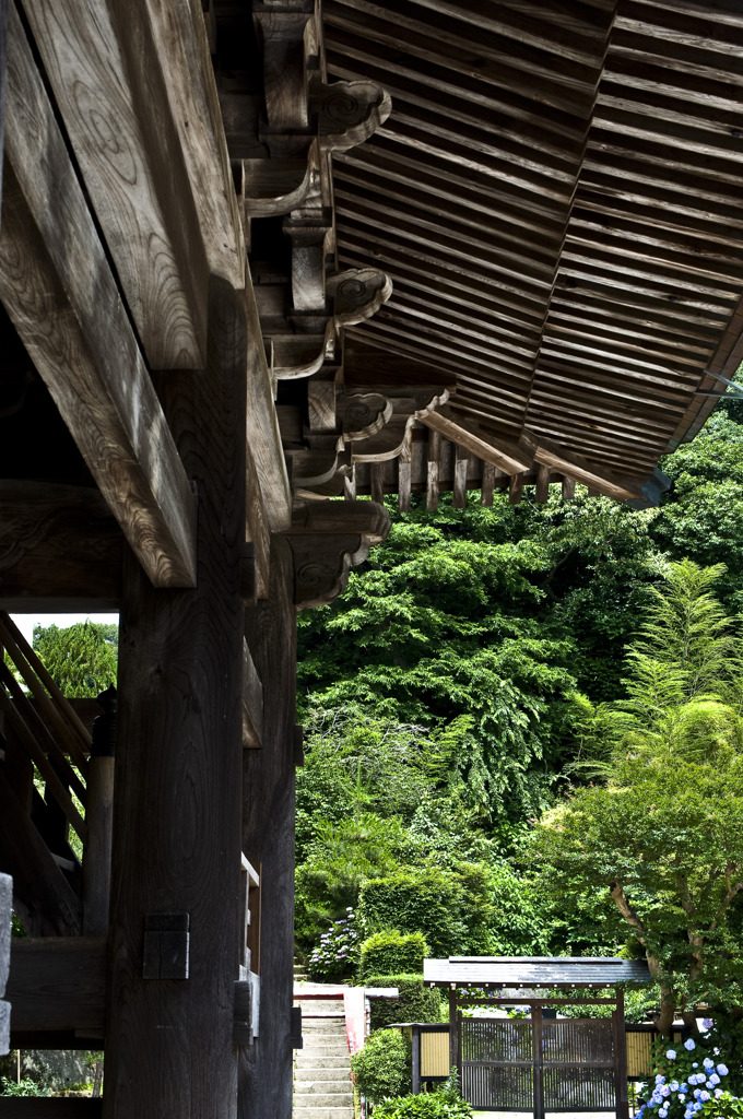 建長寺にて　其の1