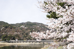 渡月橋