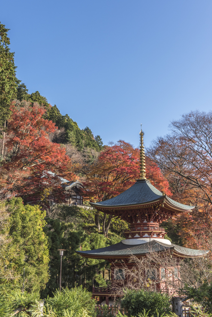 13　勝尾寺