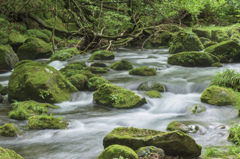 元滝伏流水