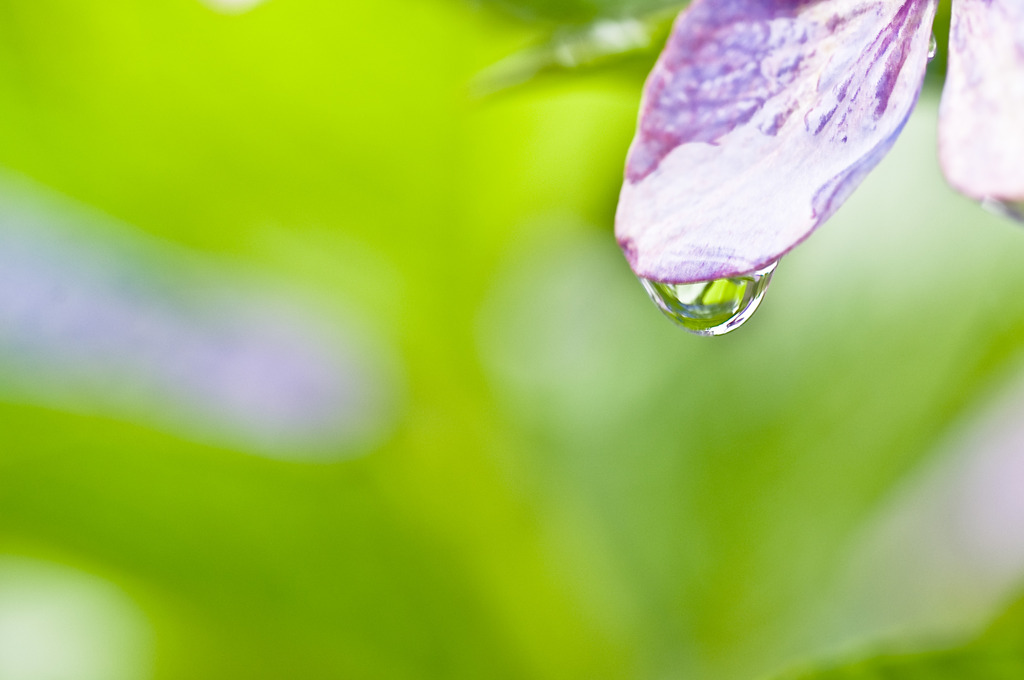 水雫