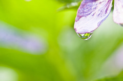 水雫