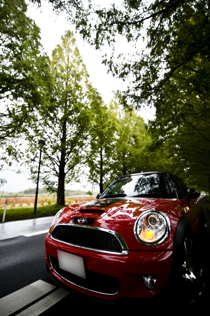 RED HOT MINI！