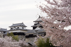 松山城