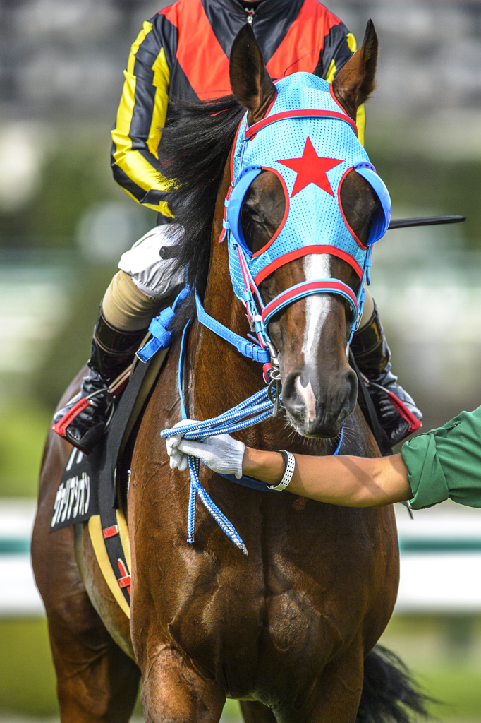 阪神競馬場