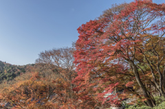 16　勝尾寺
