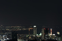 神戸夜景　7