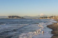 01　江ノ島