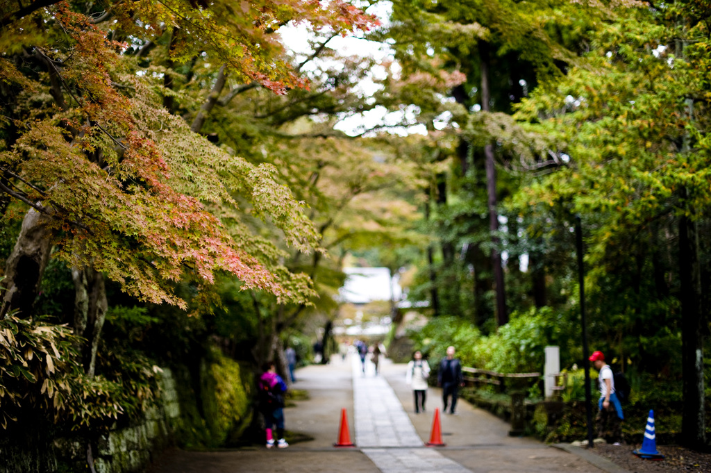 円覚寺2