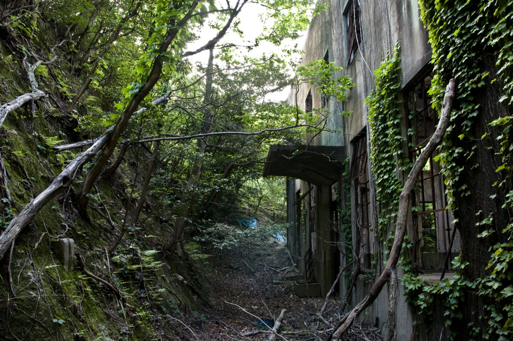 廃墟【大久野島　発電所跡】