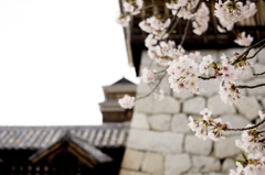 松山城
