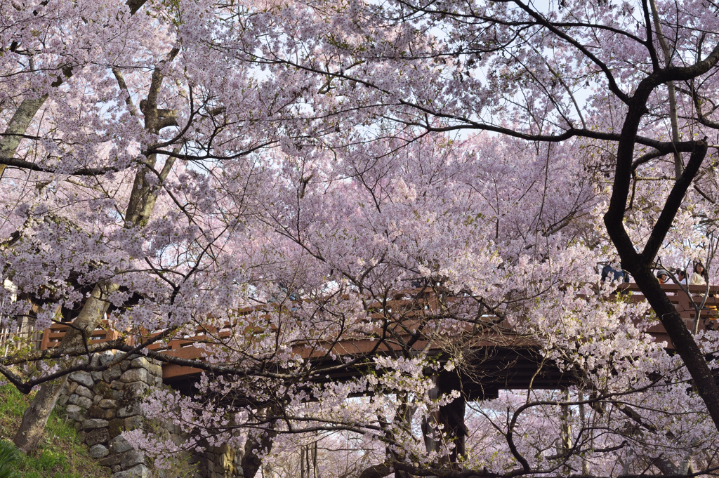 桜雲橋