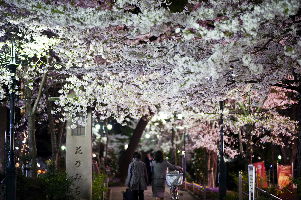 帰り道