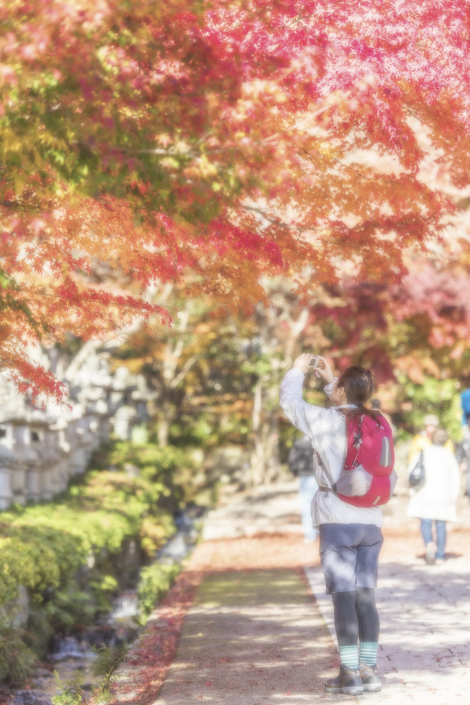 20　勝尾寺