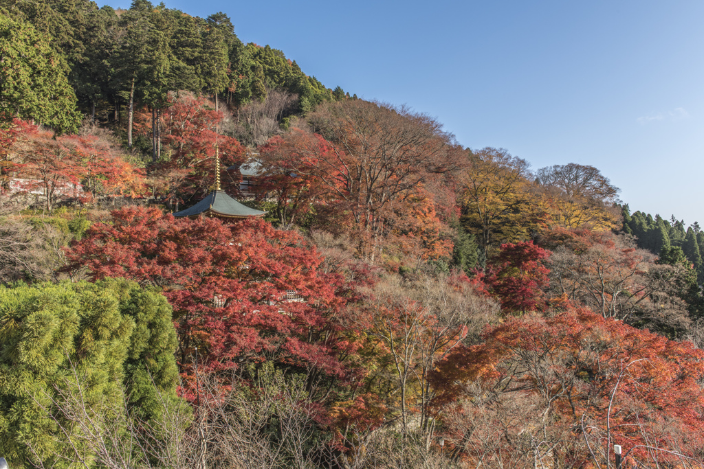 12　勝尾寺