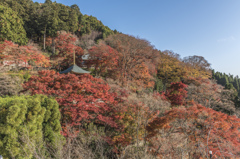 12　勝尾寺