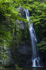 箕面大滝