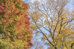 19　勝尾寺