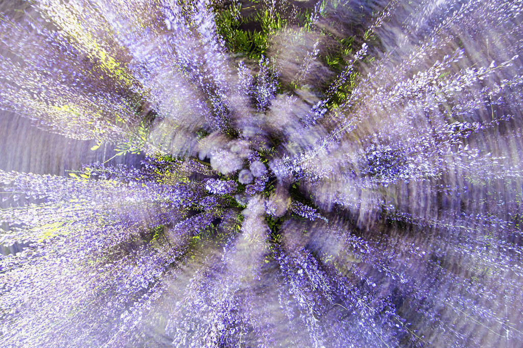 藤花火