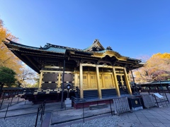 2025/11   上野　東照宮　iPhone