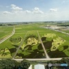 2025/8月　行田市　田んぼアート　竈門炭治郎　鬼滅の刃