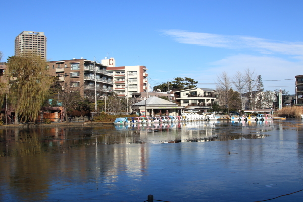 石神井公園