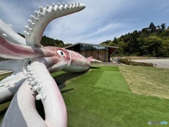 イカの駅 つくモール　石川県　能登町　イカキング　イカの駅 つくモール