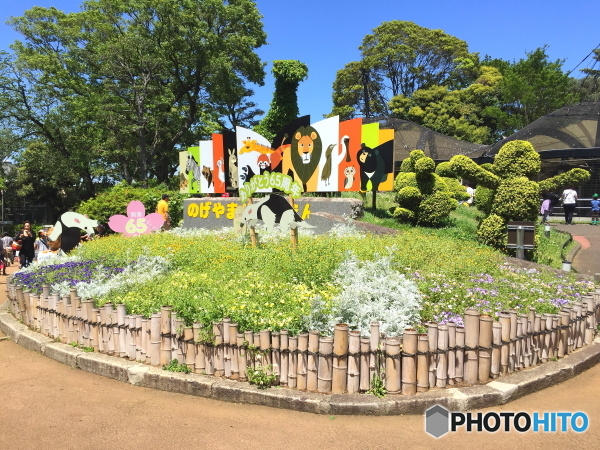 野毛山動物園