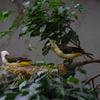 IMGP1199