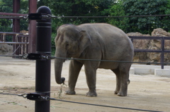 IMGP1076